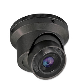 Black Anti-Vandal Mini IR Indoor/Outdoor Dome with 3.6mm Fixed  Lens