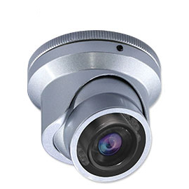 Silver Anti-Vandal Mini IR Indoor/Outdoor Dome with 3.6mm Fixed  Lens