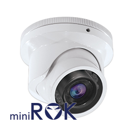 Graphite Anti-Vandal Mini IR Indoor/Outdoor Dome with 3.6mm Fixed  Lens