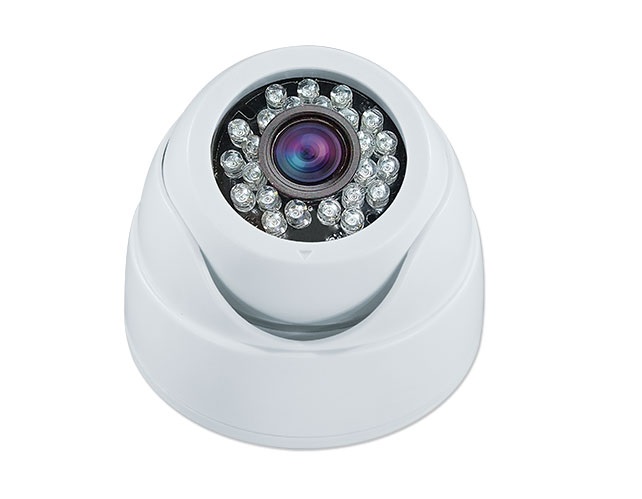 White Decoy Eyeball Dome Camera With IR LEDs
