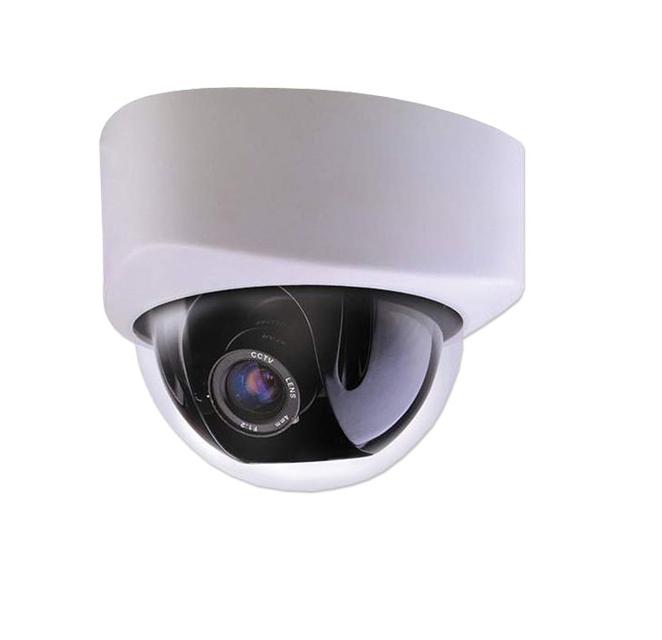 NiteDevil PTZ Dome with a Superb 36x Optical, 12x Digital Zoom and WDR